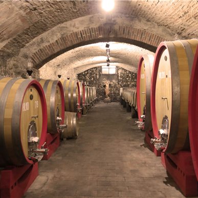 Wein- und Kulturreise Toskana (Fotocredits: Manfred Hinder)