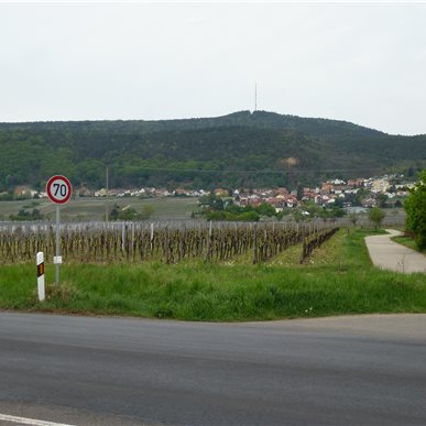 Reise ins Rheingau und Anlass bei Allendorf, Oestrich-Winkel 2012