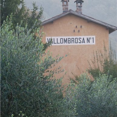 Weingutbesuch: Tamborini Vini, Lamone 2012