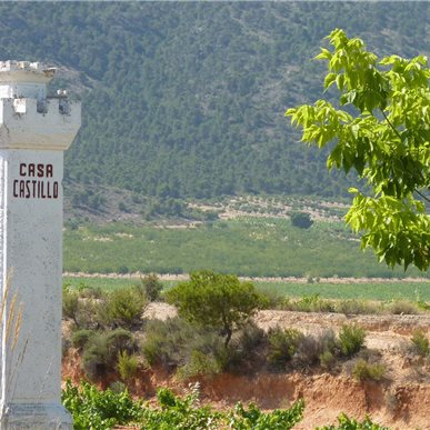 Weingutbesuch: Casa Castillo, Jumilla 2010