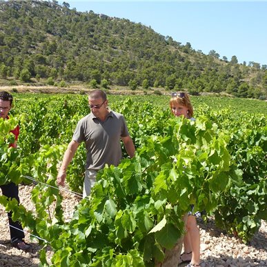 Weingutbesuch: Casa Castillo, Jumilla 2010