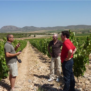 Weingutbesuch: Casa Castillo, Jumilla 2010