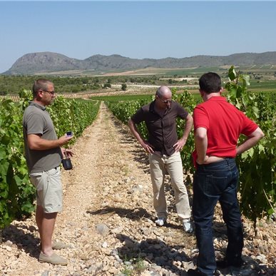 Weingutbesuch: Casa Castillo, Jumilla 2010