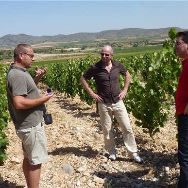 Weingutbesuch: Casa Castillo, Jumilla 2010