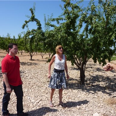 Weingutbesuch: Casa Castillo, Jumilla 2010