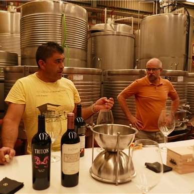 Wein- und Kulturreise Ribera del Duero (Fotocredit: Manfred Hinder)